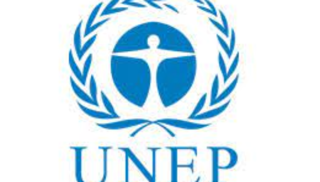 UNEP Logo Vacancy Job Ref: VACUNEP1831-34
